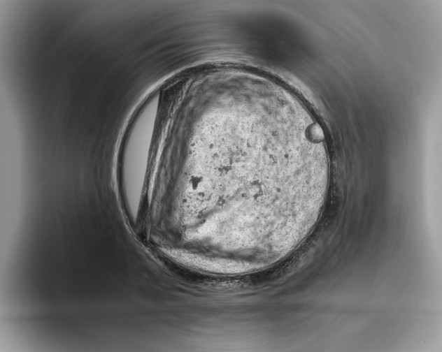 X0000093430791200711091435