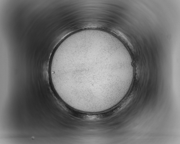 X0000093430794200711091435