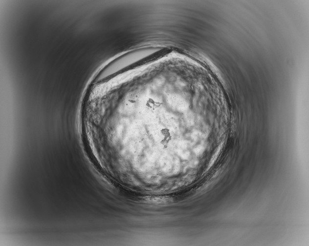 X0000093430795200711091435