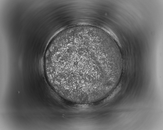 X0000093430798200711091435