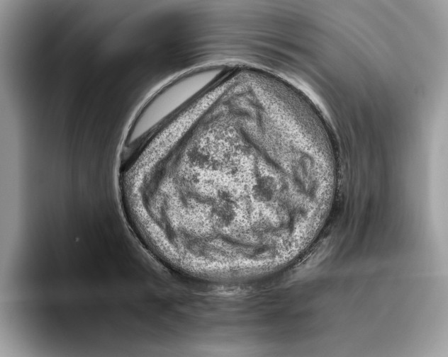 X0000093430799200711091435