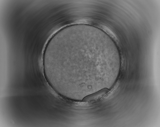 X0000093430800200711091435
