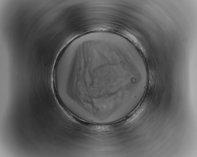 X0000093430802200711091434