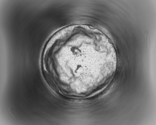 X0000093430803200711091434