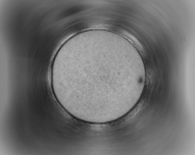 X0000093430804200711091434