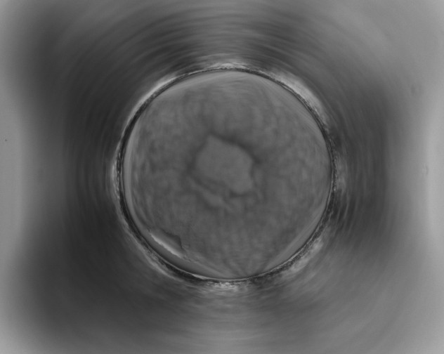X0000093430806200711091434