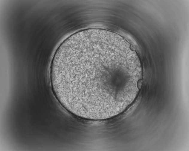 X0000093430808200711091434