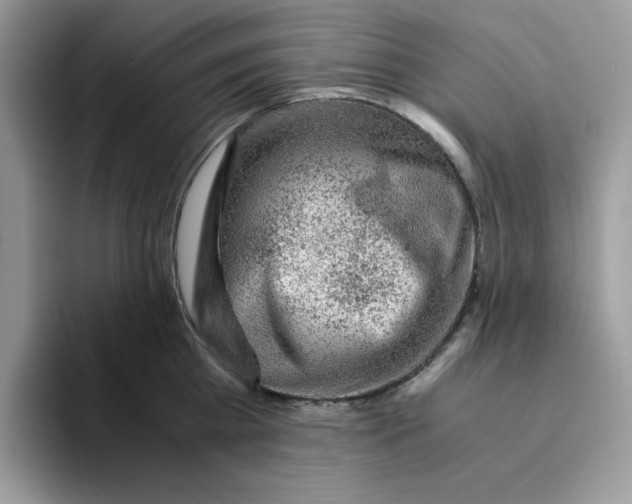 X0000093430809200711091434