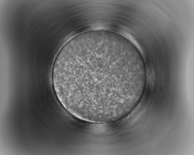 X0000093430810200711091434