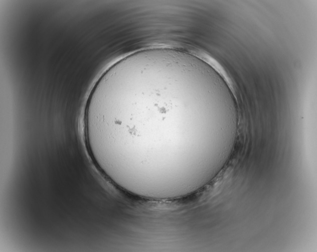 X0000093430811200711091434