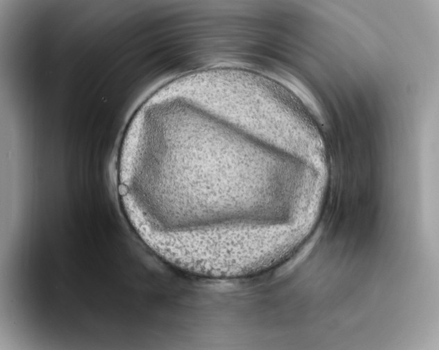 X0000093430814200711091434