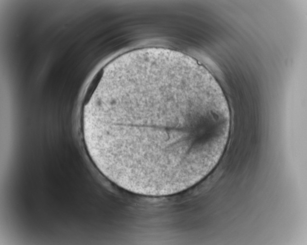 X0000093430816200711091434