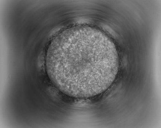 X0000093430824200711091434