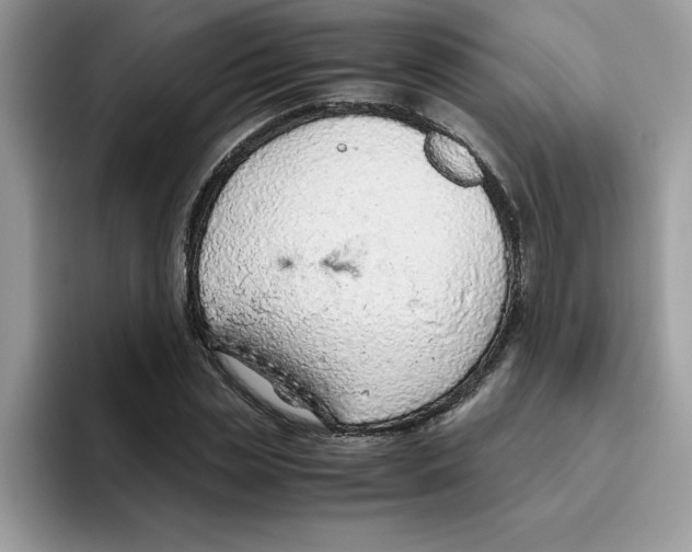 X0000093430829200711091434