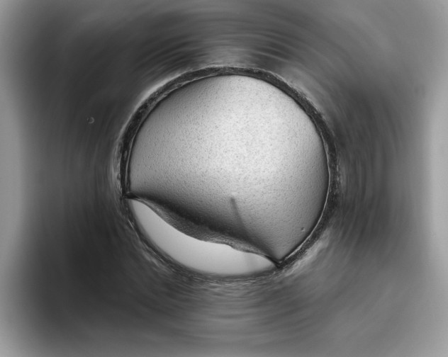 X0000093430830200711091434