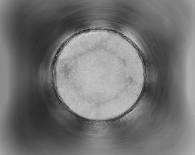 X0000093430832200711091434
