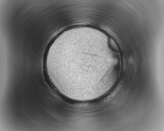 X0000093430834200711091434