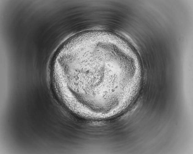 X0000093430835200711091434