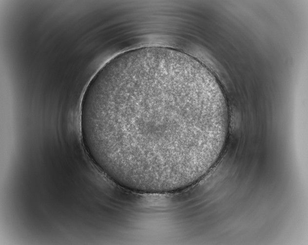X0000093430836200711091434