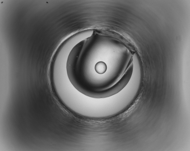 X0000093430838200711091434