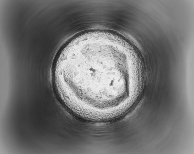 X0000093430839200711091434
