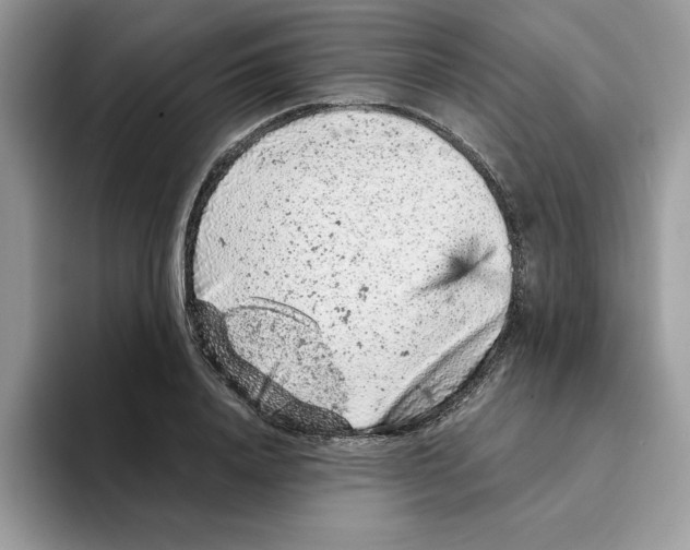 X0000093430840200711091434