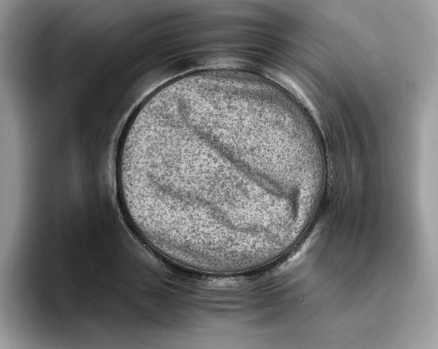 X0000093430843200711091434
