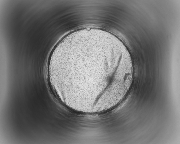 X0000093430844200711091434