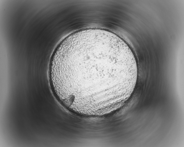 X0000093430847200711091434