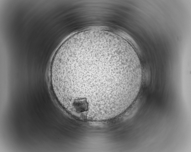 X0000093430852200711091434
