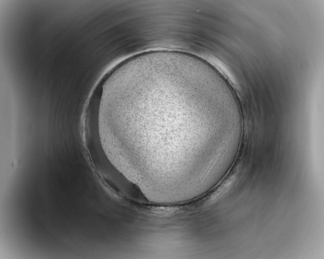 X0000093430854200711091434