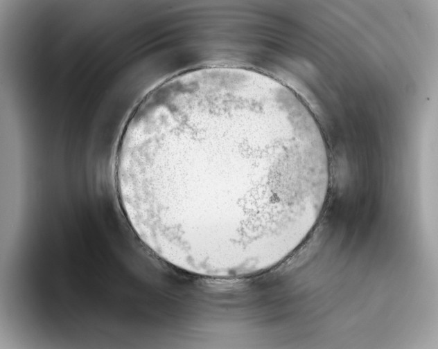 X0000093430856200711091434