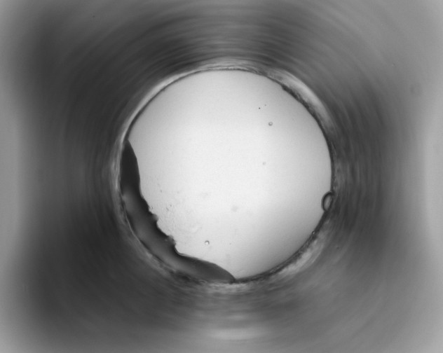 X0000093430860200711091434