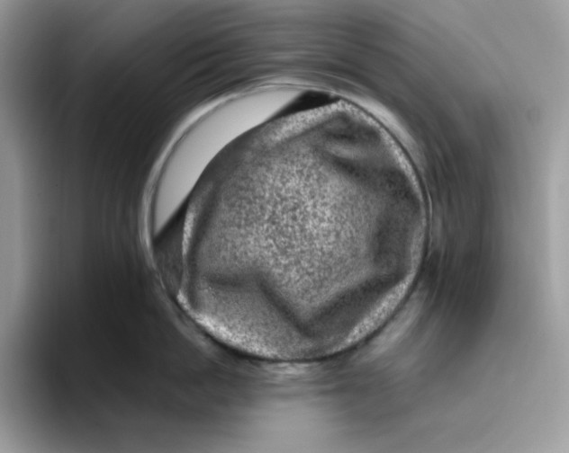 X0000093430862200711091434