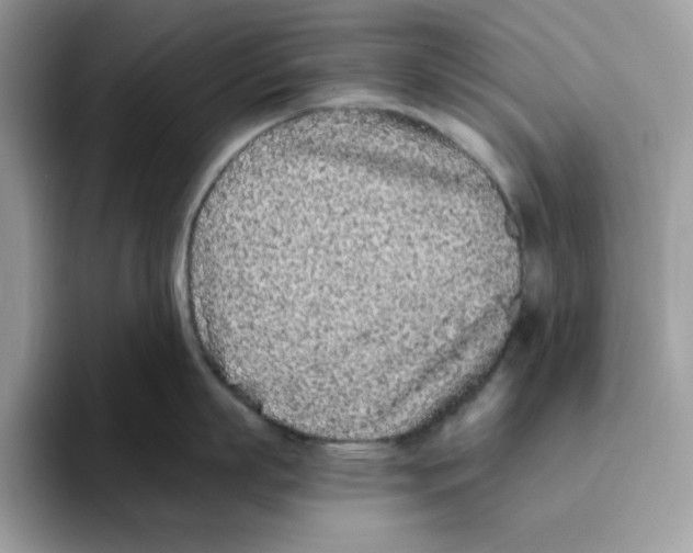 X0000093430863200711091434