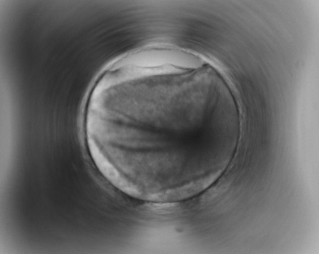 X0000093430864200711091434