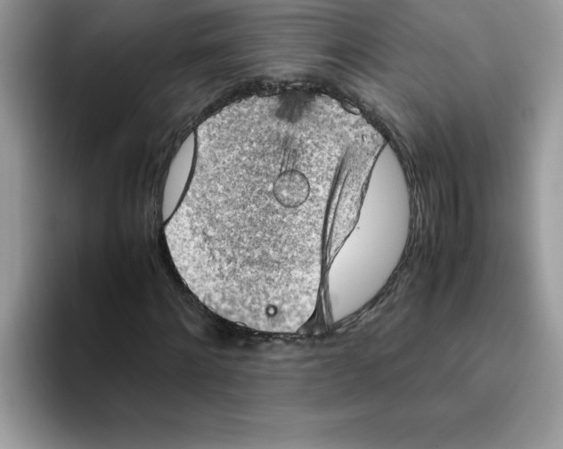 X0000093430868200711091434