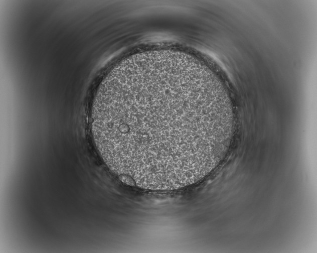 X0000093430871200711091434