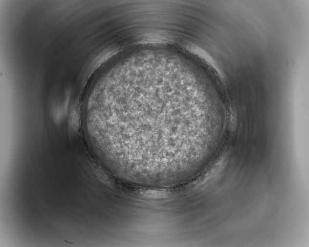 X0000093430874200711091434