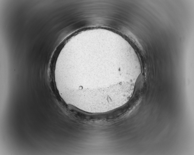 X0000093430876200711091434