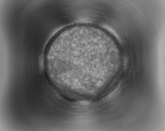 X0000093430878200711091434
