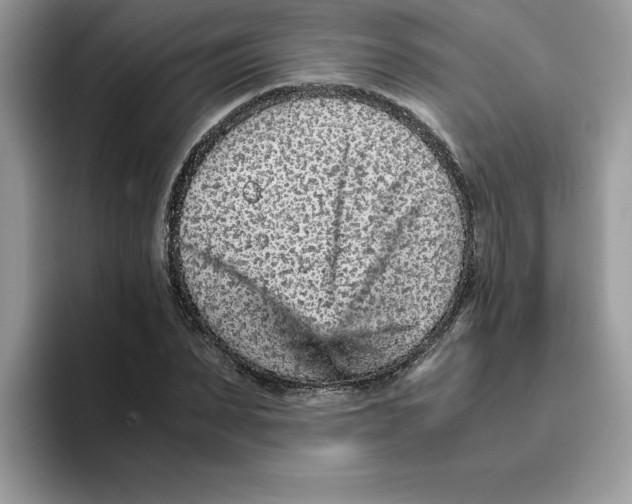 X0000093430879200711091434