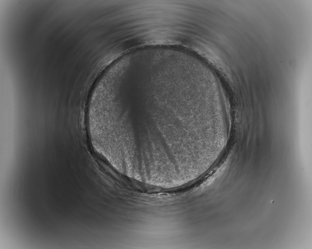 X0000093430881200711091434
