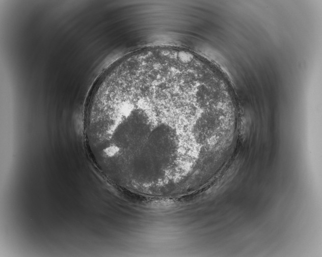 X0000093430882200711091434