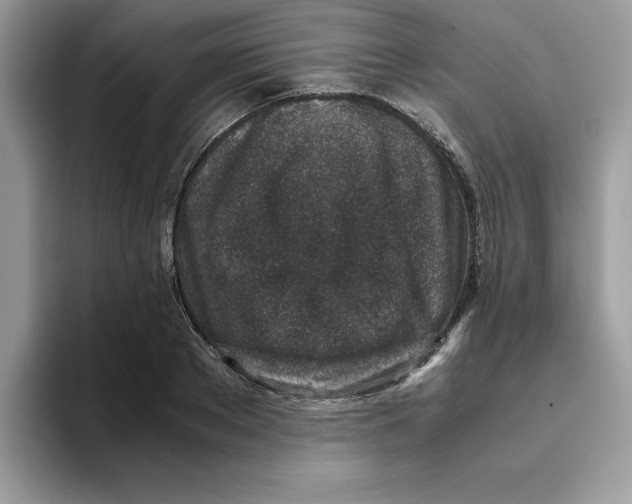 X0000093430889200711091433