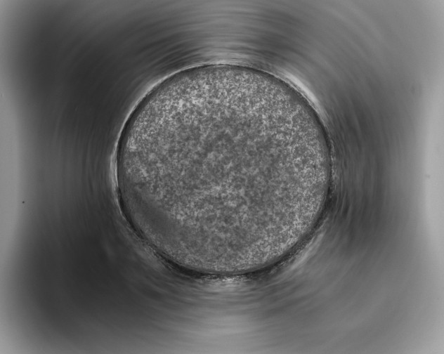 X0000093430891200711091433