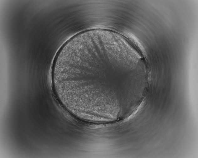 X0000093430892200711091433