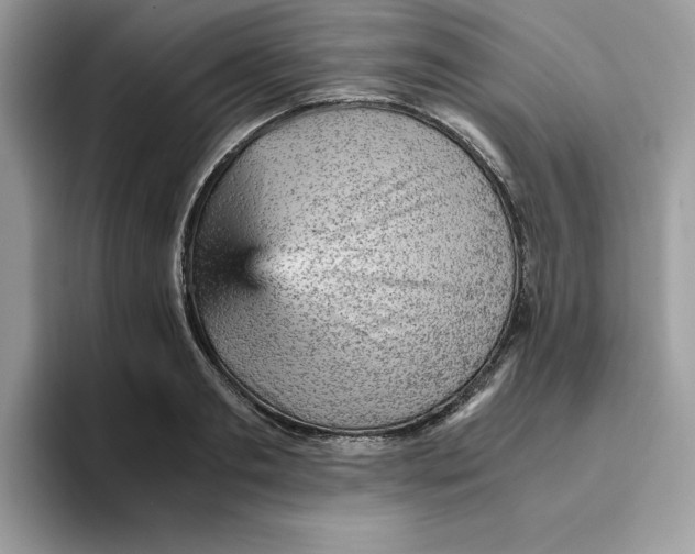 X0000093430893200711091433