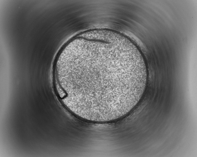 X0000093430894200711091433
