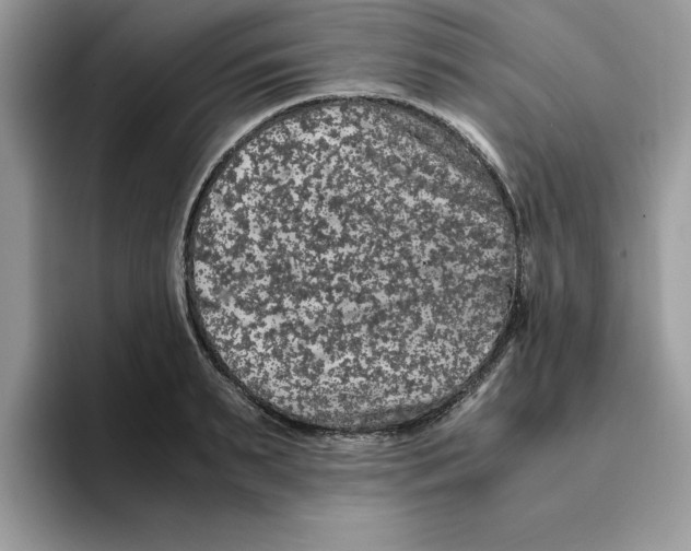 X0000093430895200711091433